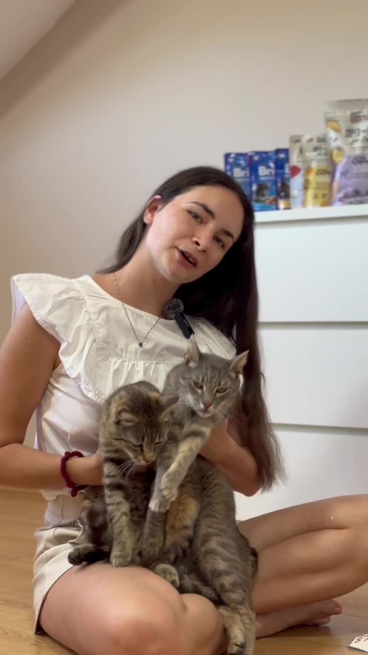 Video Preview